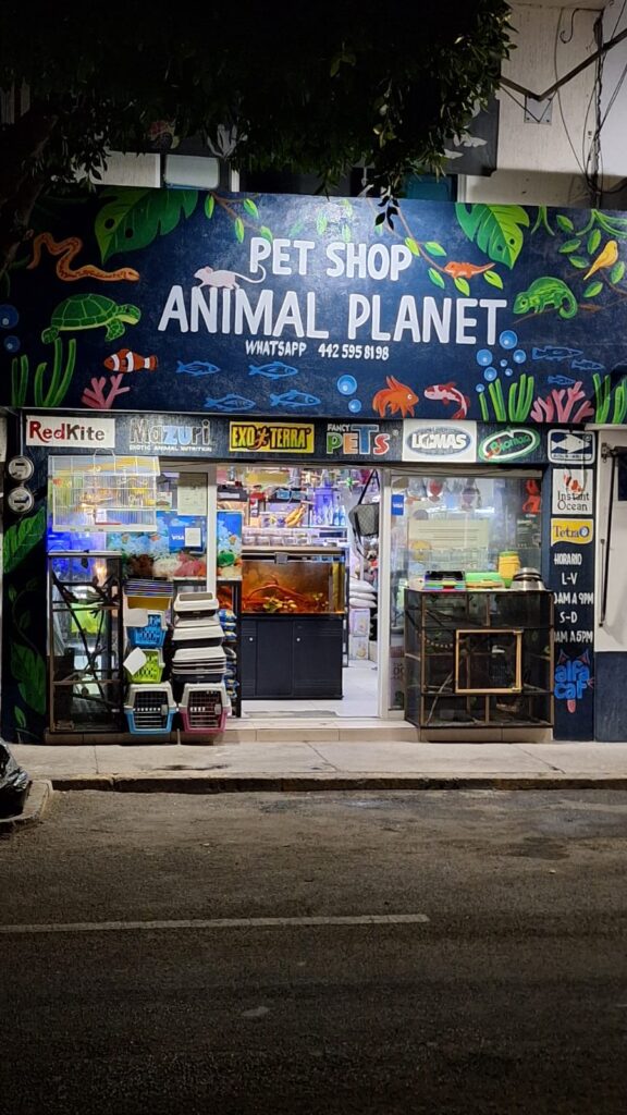 121847 pet shop animal planet 576x1024