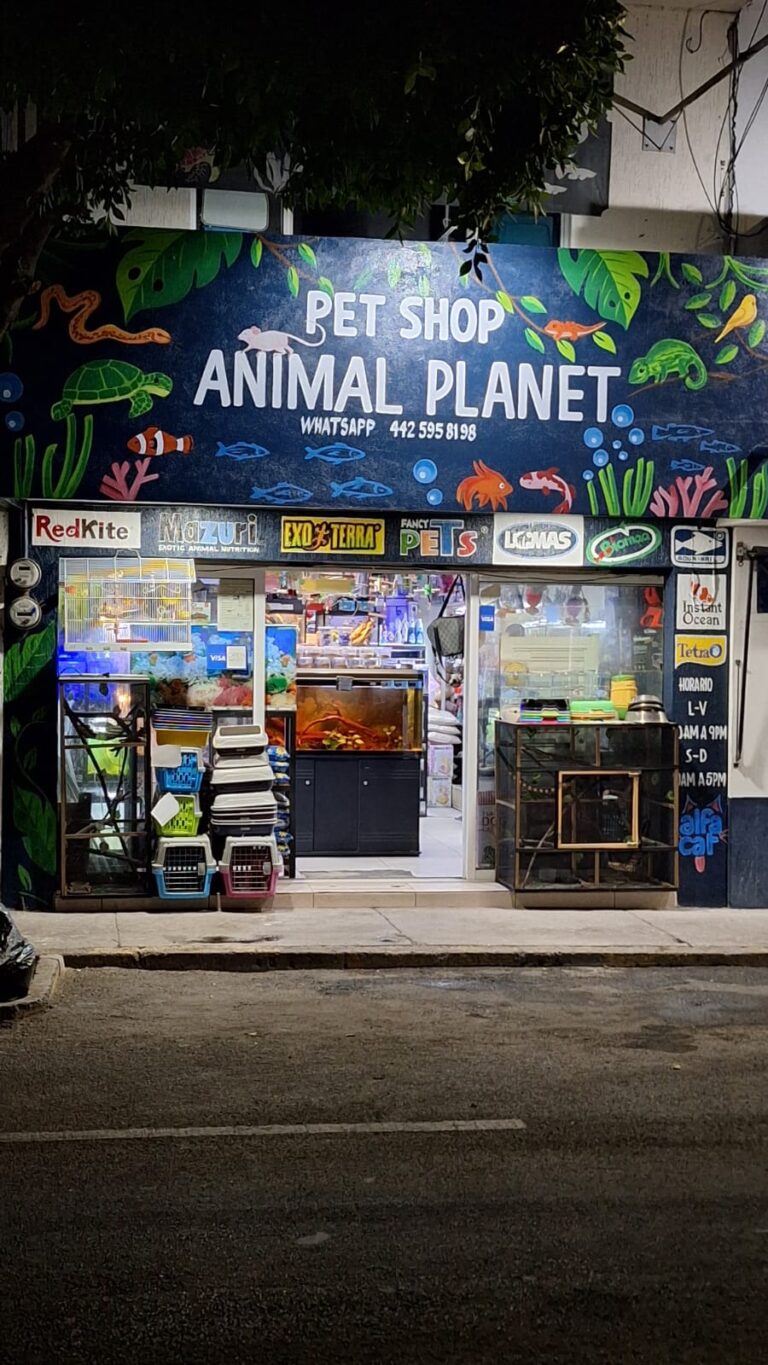 121847 pet shop animal planet 768x1365