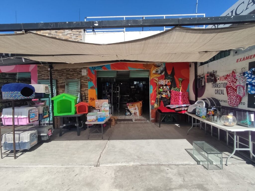 121856 anubis pet emporium✨ 1024x768