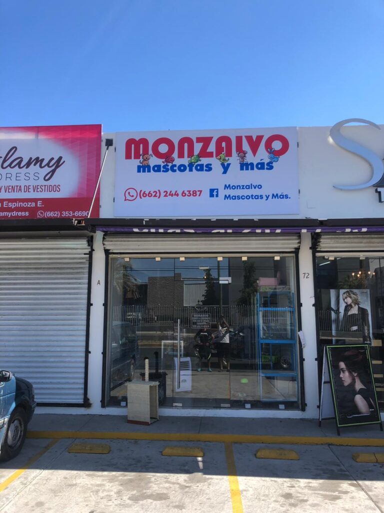121869 monzalvo mascotas lopez portillo 768x1024