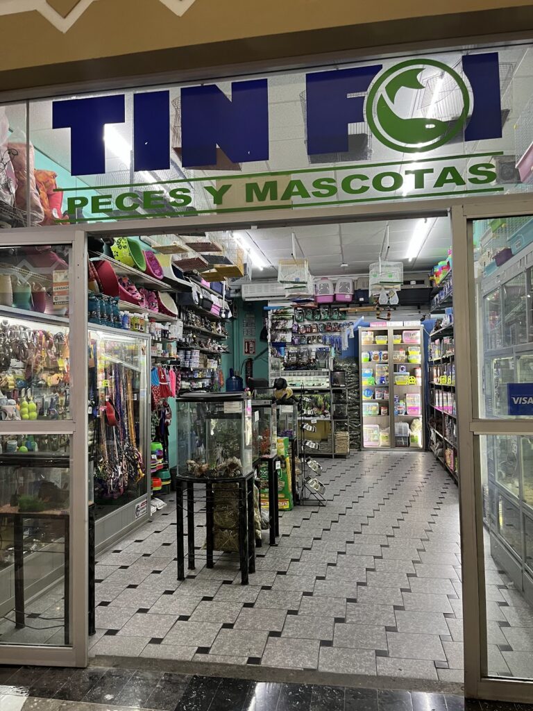 121889 peces y mascotas tinfoi 768x1024