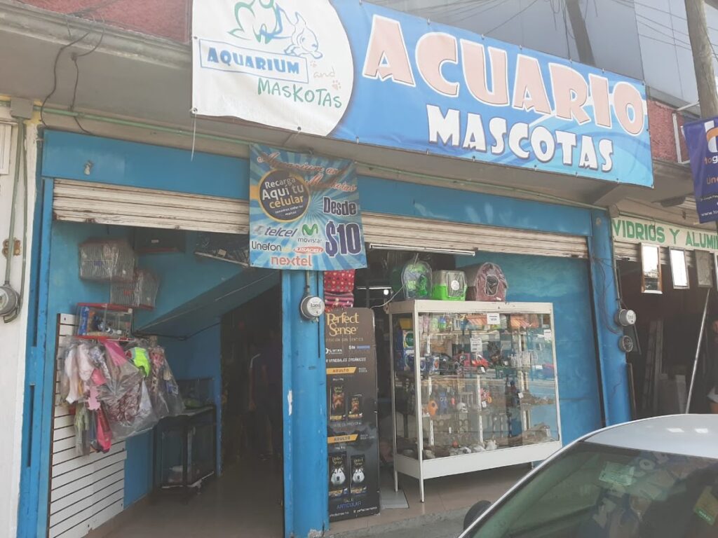 121914 aquarium and maskotas tlaxcala 1024x768