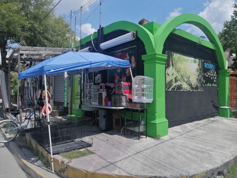 121929 pet shop exotic matamoros acuario y tienda de mascotas 768x576