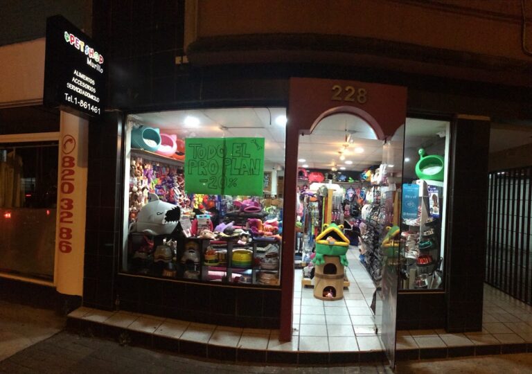 121972 pet shop murillo vidal 768x540
