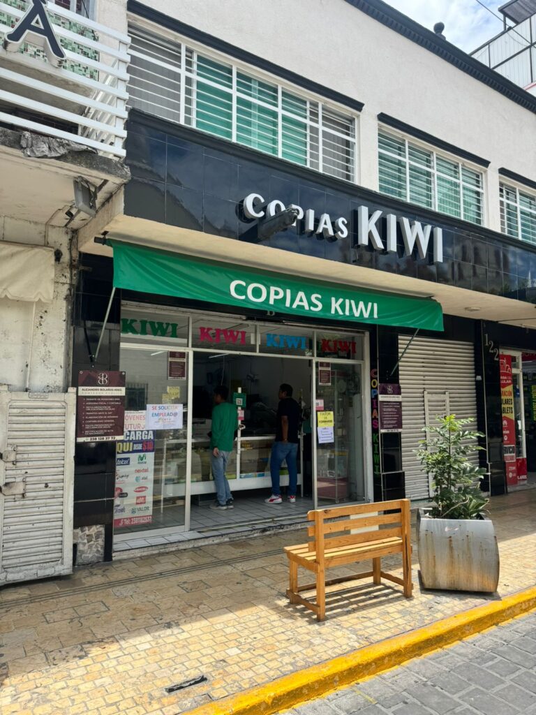 122205 copias kiwi 768x1024