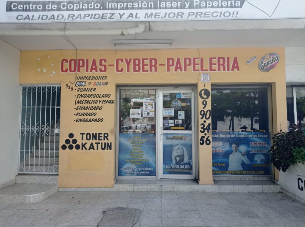122249 copyserviciosmaz 1024x765