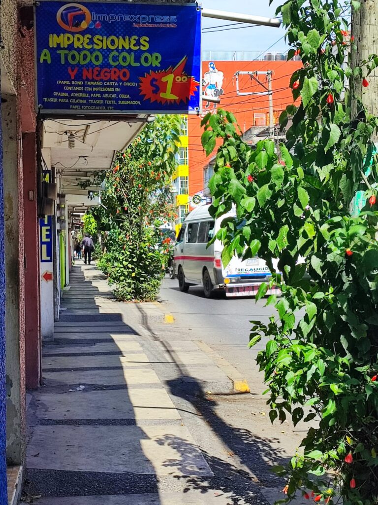 122426 imprexpress chilpancingo 768x1024