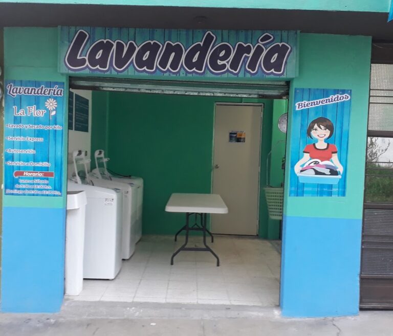 122997 lavanderia la flor 768x657