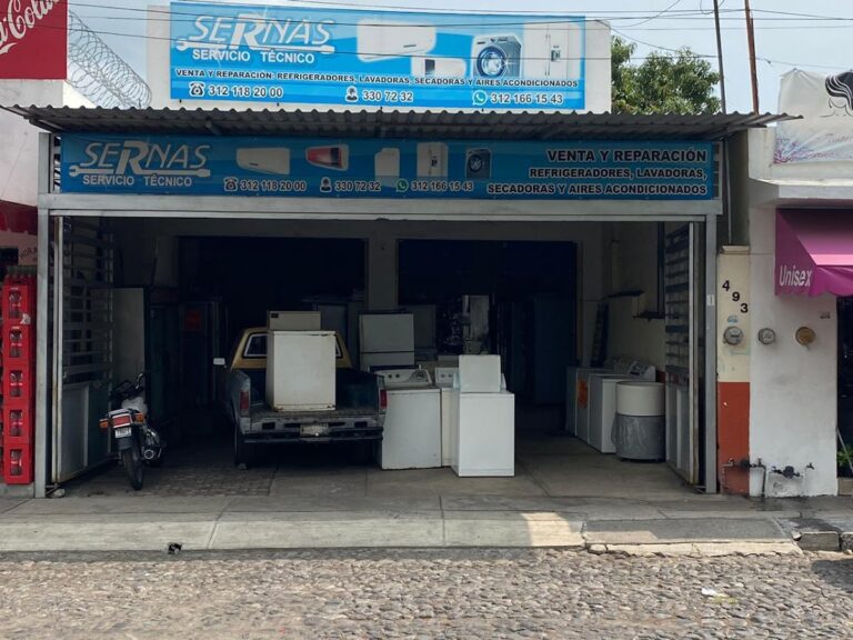 87650 servicio sernas 768x576