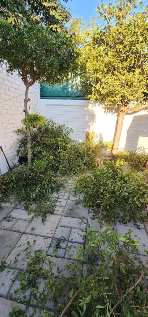 87771 jardineros manzanillo 479x1024