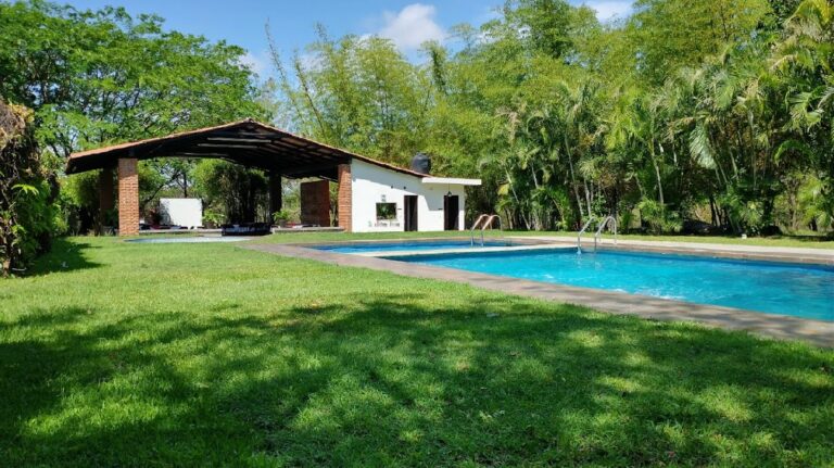 87822 los helechos 8211 jardin de eventos 768x431