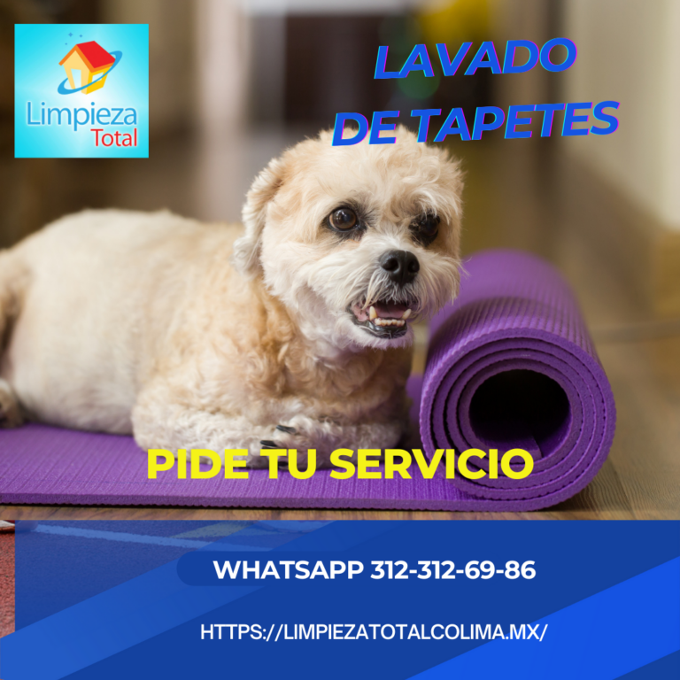 87865 limpieza total colima 768x768