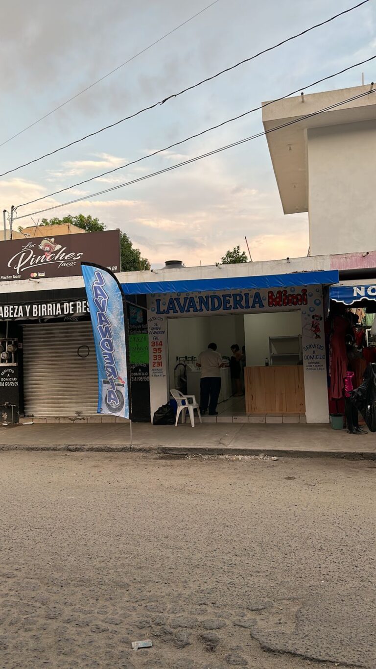 88071 lavanderia mimi 768x1365