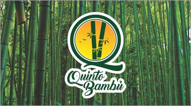 88497 quinto bambu 768x428