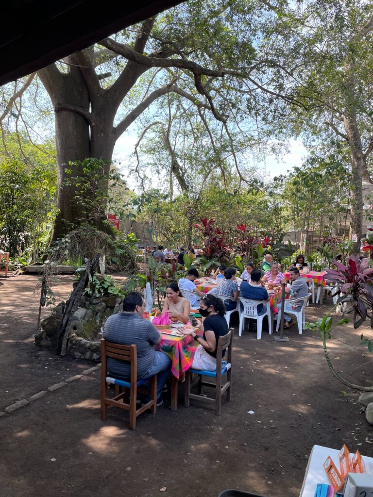 89007 la higuera de suchitlan 768x1024