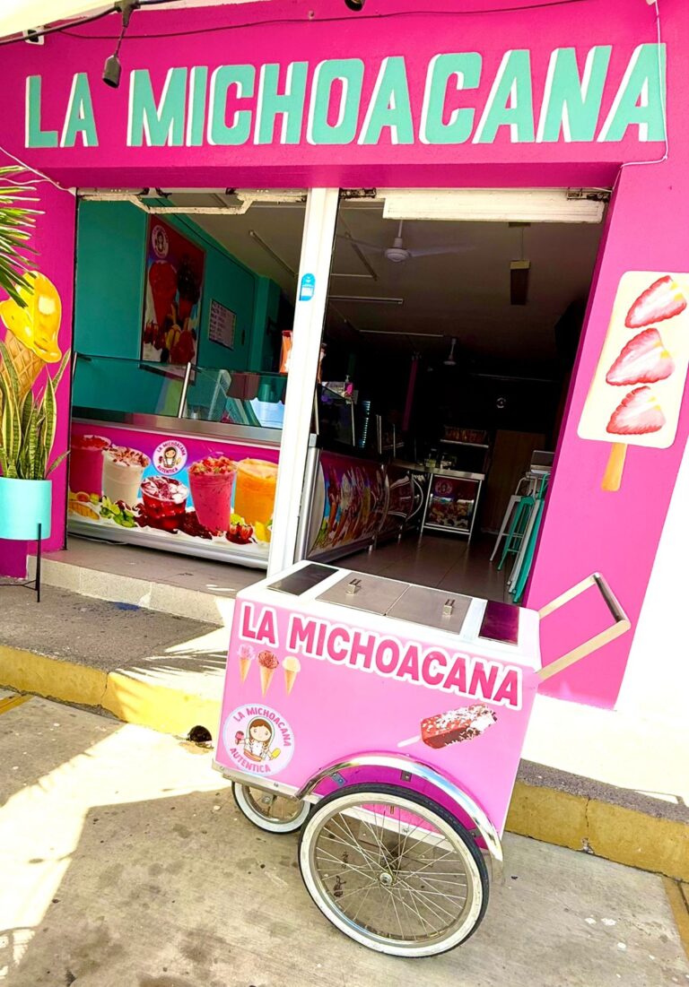 90477 la michoacana autentica 768x1101