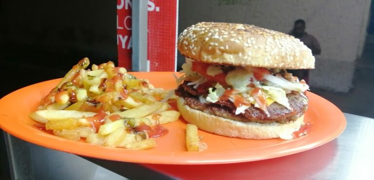 90576 hamburguesas y dogos shon 768x371