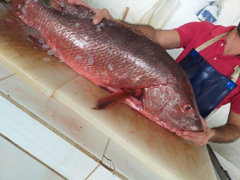 91343 pescaderia rosales mercado 768x576