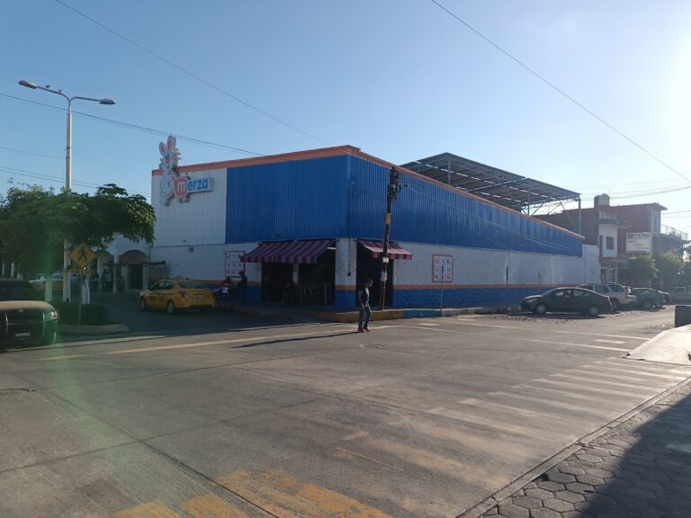 92033 tienda merza sucursal armeria 768x576