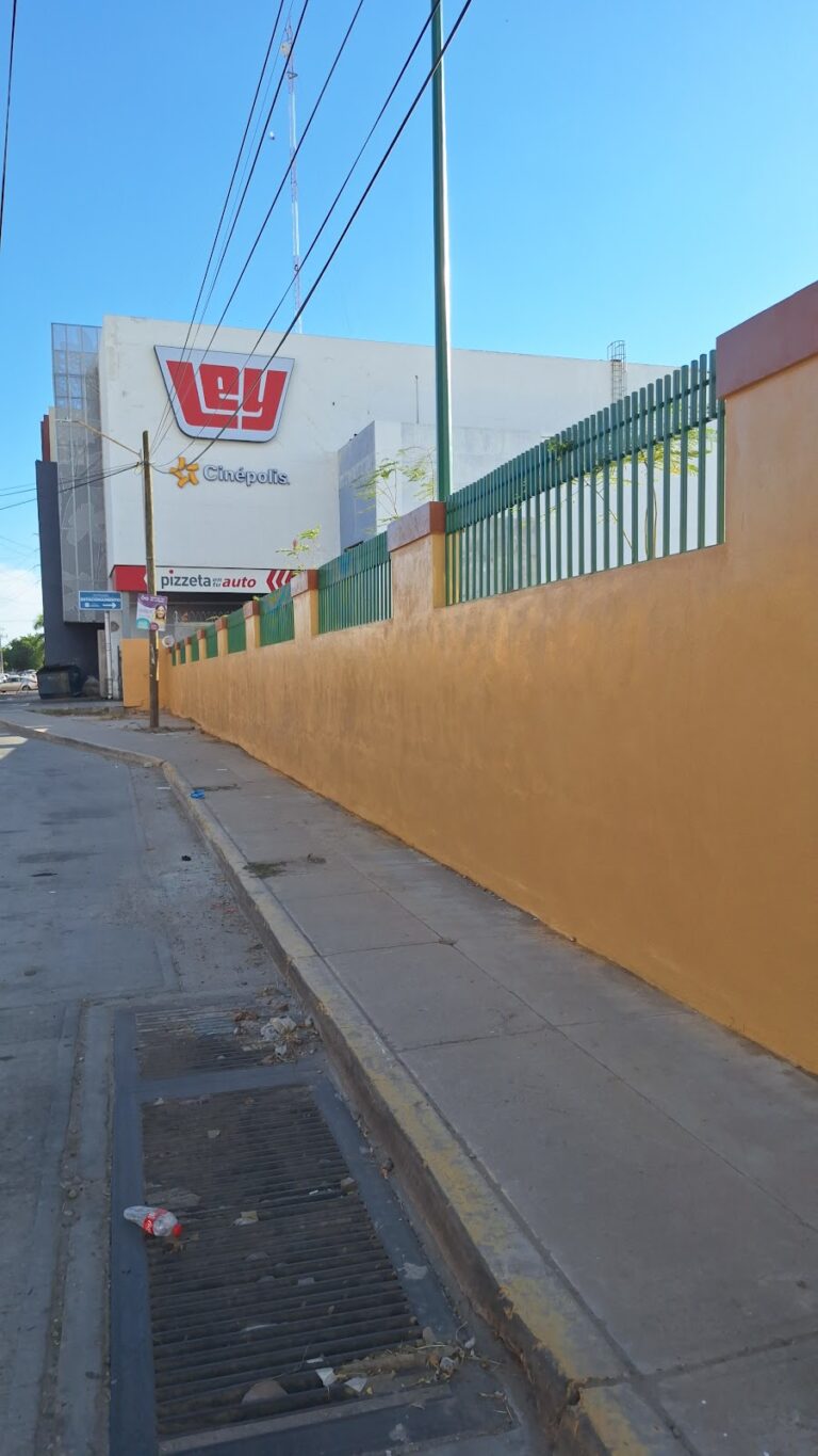 97593 pinturas y acabados del noroeste 768x1365