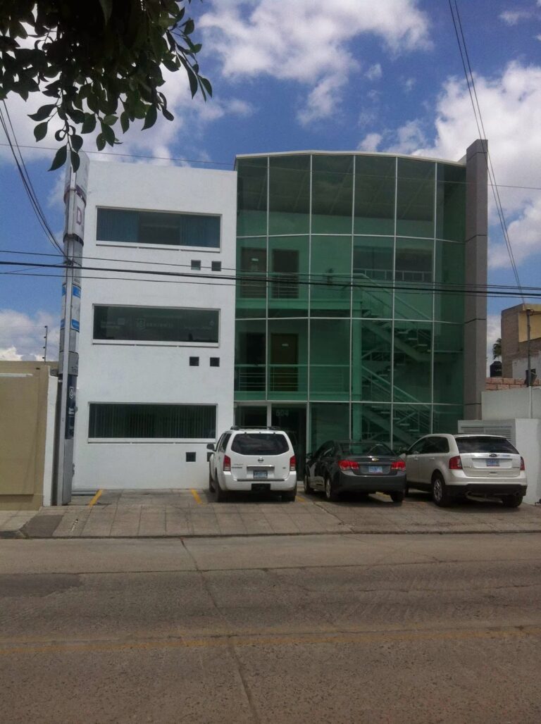 98461 sermib limpieza en celaya 768x1028