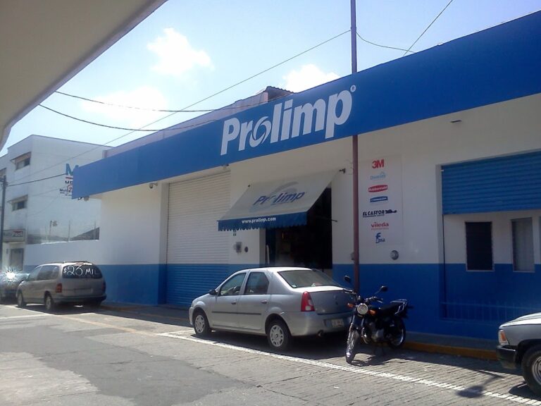 98849 prolimp orizaba. productos de limpieza 768x576