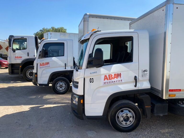 98859 abah mudanzas en aguascalientes oficinas 768x576