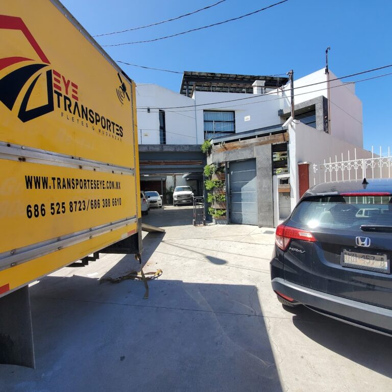 98867 mudanzas y fletes eye 768x768