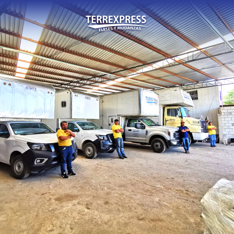 98891 fletes y mudanzas terrexpress campeche 768x768