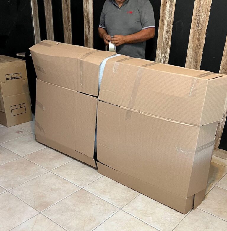 98940 mudanzas move go torreon 768x782