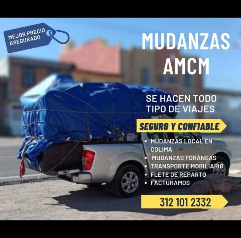 98943 fletes y mudanzas amcm 768x757