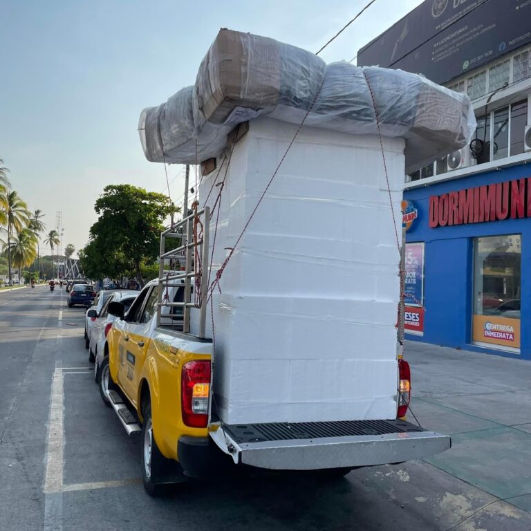 98949 mudanzas y fletes colima 768x768