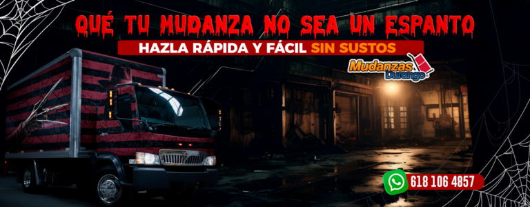 98962 mudanzas durango 768x300