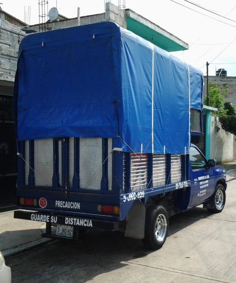 99014 fletes y mudanzas badillo 768x918