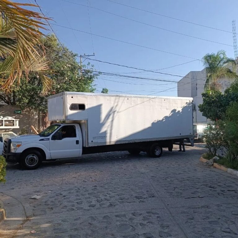 99035 mudanzas ramex en zapopan 768x768