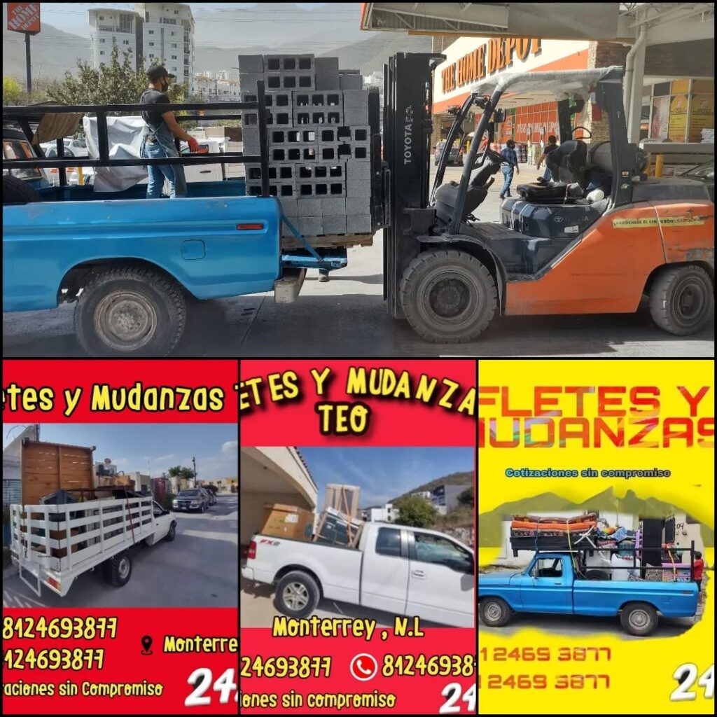 99088 fletes y mudanzas teo 1024x1024