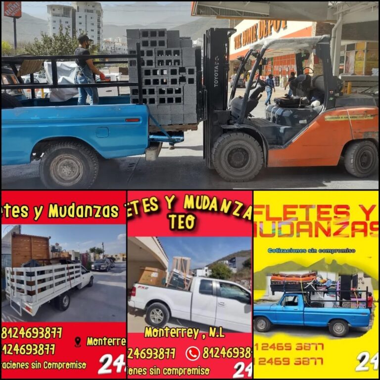 99088 fletes y mudanzas teo 768x768