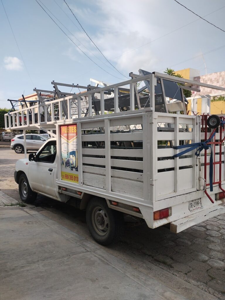 99206 fletes y mudanzas dumbo 768x1020