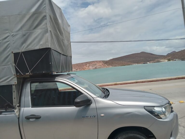 99225 mudanzas foraneas tampico 768x576