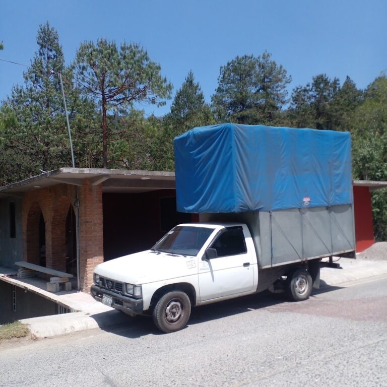 99257 fletes economicos orizaba 768x768