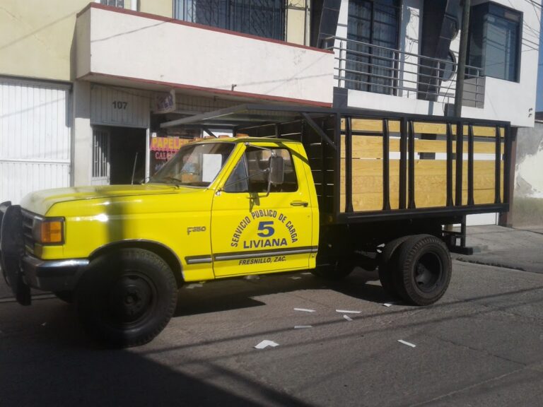 99275 servicio de carga liviana 5 768x576