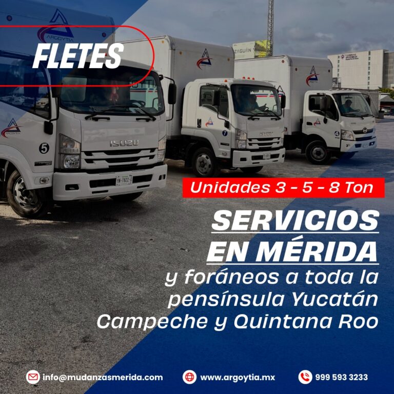 99282 fletes y mudanzas argoytia almacenaje y distribucion 768x768
