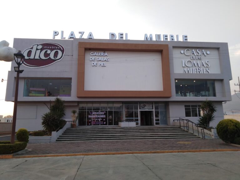 99743 muebles dico plaza del mueble pachuca 768x576